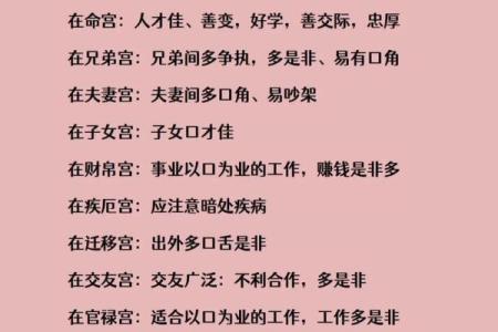 紫薇斗数重逢