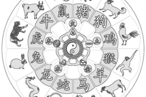 肖鼠者不同血型有哪些优势