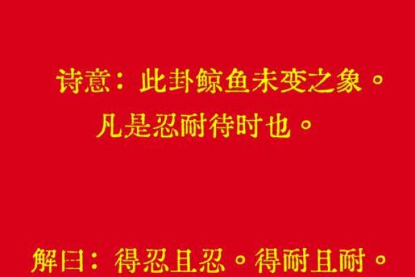 观音灵签鲸鱼未变之象