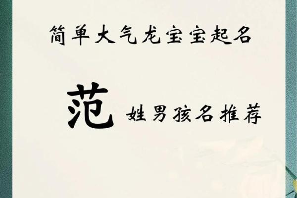 2019年6月26号卯时出生的男孩起名方法姓名