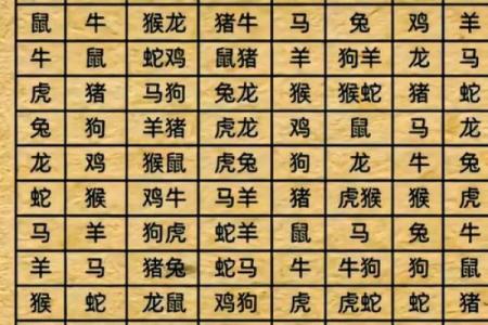 1971年属什么生肖配对 1971年属什么生肖配对最好