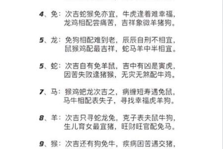 老鼠和什么属相最配对 老鼠和哪个属相最佳配对