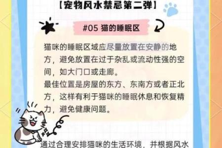 养宠物也是要讲究风水的