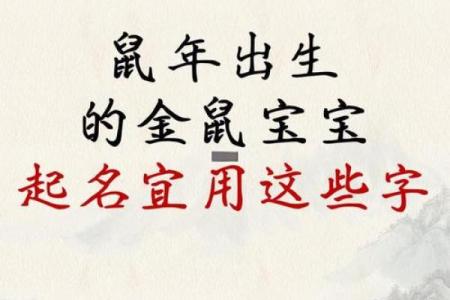 上午出生的属鼠男孩起名宜用什么字姓名