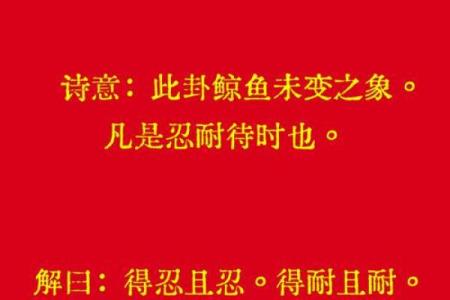 观音灵签鲸鱼未变之象