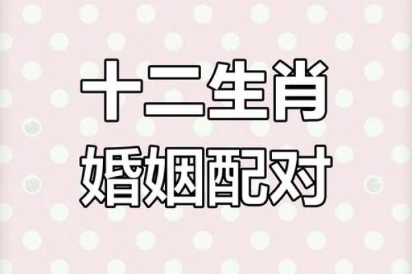 免费生辰配对姻缘