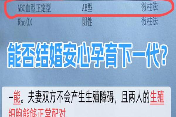 为什么说ab血型最聪明