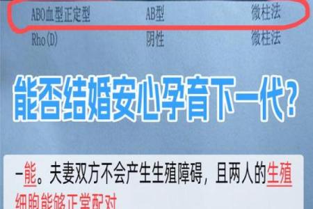 为什么说ab血型最聪明