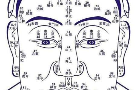 命相故事，如何通过看面相算命