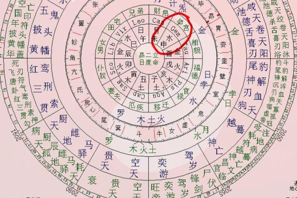 紫薇斗数星盘分析