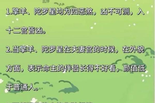 紫薇斗数看才华
