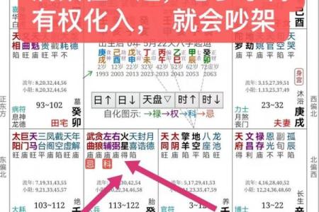 逆天改运？《飞星紫微斗数》古籍揭秘命运织锦，一册在手扭转乾坤