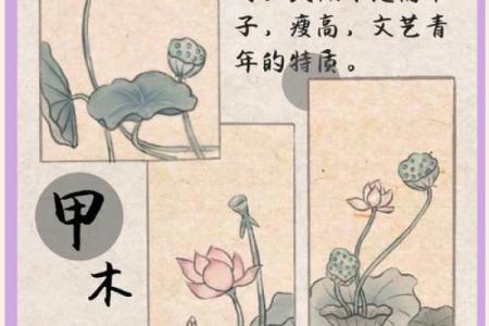 八字没有正官,什么条件下乙木变成甲木