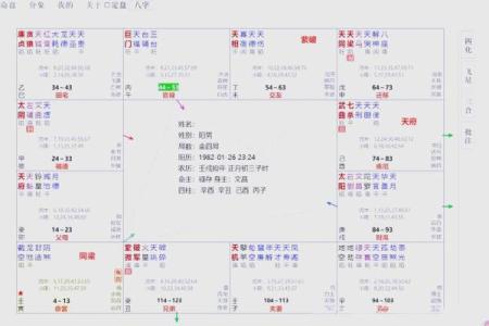 紫薇斗数星盘分析