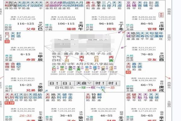 紫薇斗数在线分析免费