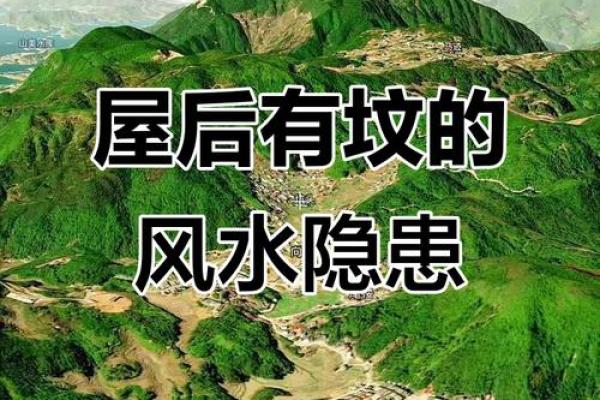 风水中有"无园不竹"之说 风水中有"无园不竹"之说