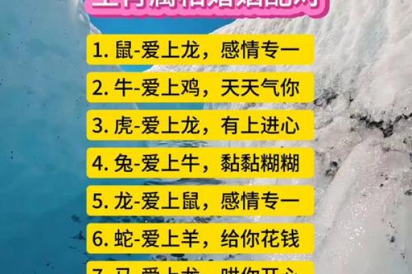 姻缘配对百分之几