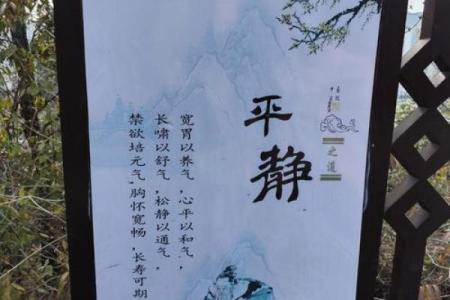 风水中有"无园不竹"之说