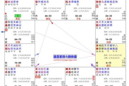 紫薇斗数事业详细解释