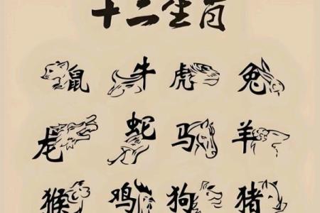 注定成为敌人的属相配对