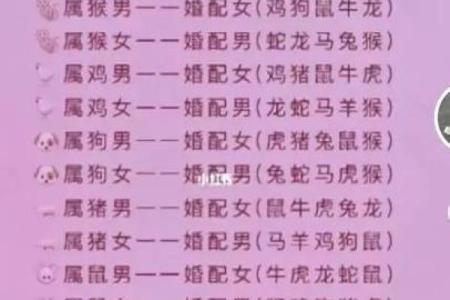 婚姻配对属龙和属蛇姻缘怎么样