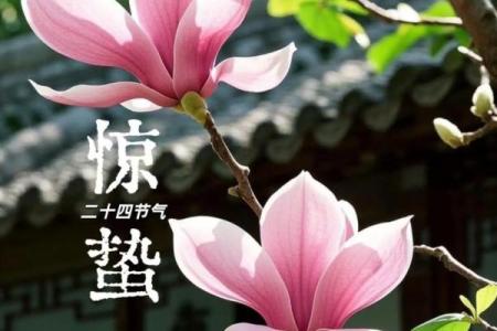 黄历惊蛰是什么意思,运气好命短