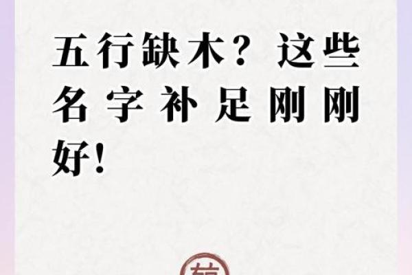2024年立秋出生的男孩八字缺木怎么取名？五行缺木有什么影响？