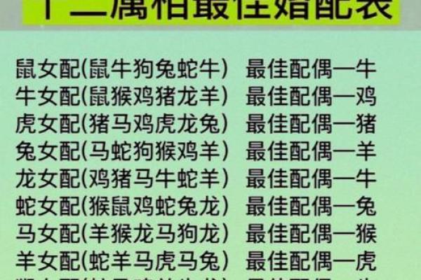 生肖牛父子配对-八个值得一看的组合