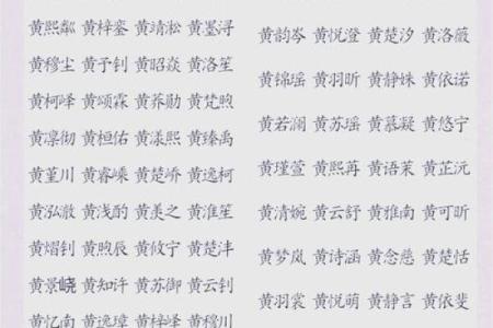 姓名与人生免费测试打分黄代语