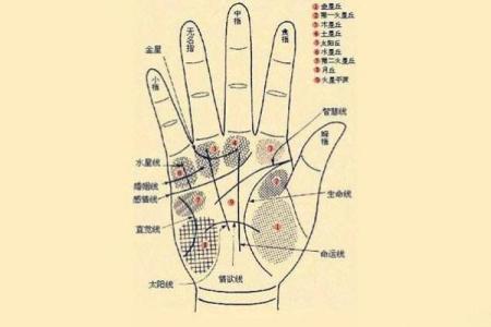 凯帝阿手相算命图解大全02