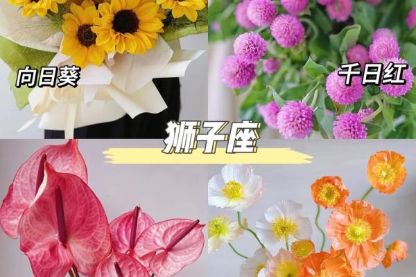 十二星座适合什么花最有灵性和灵感