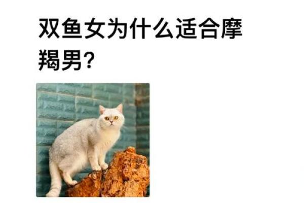 双鱼座女和摩羯座男婚姻配对怎么样