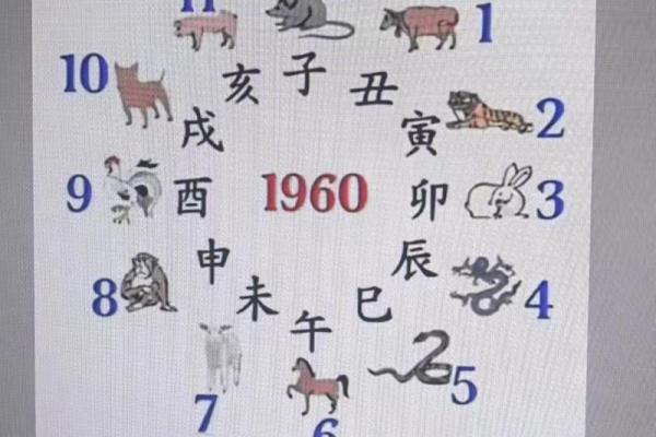 中华预测网紫微斗数 中华国学紫微斗数培训官网？