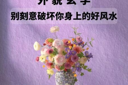 与风水有关的资讯，值得您一阅