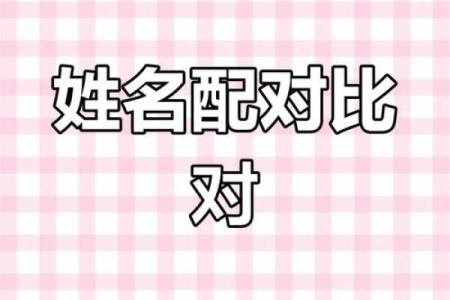 专用姓名配对 姓名配对 急切网？