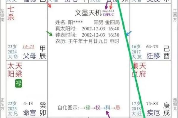 紫微斗数财运,紫微斗数财富分析