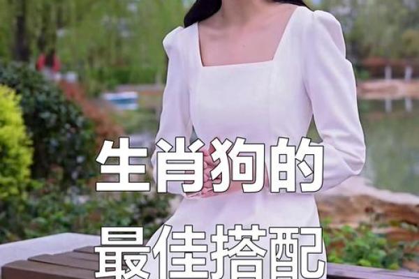 生肖配对：属狗的和什么属相最配