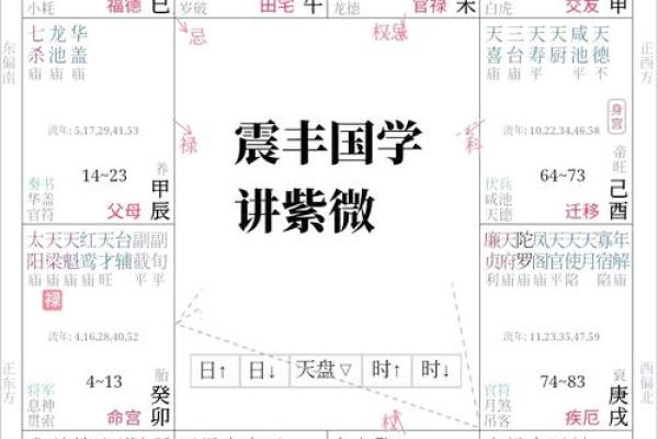 【紫微斗数】排盘技巧047： 紫微斗数在法律领域的应用