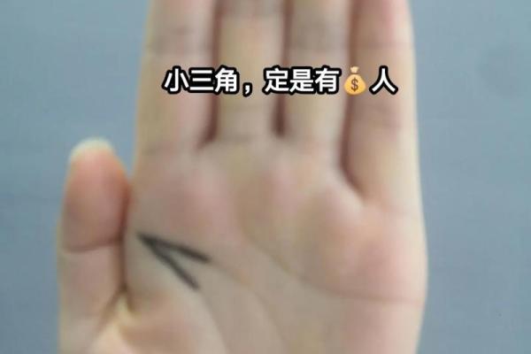 川字掌算命分析