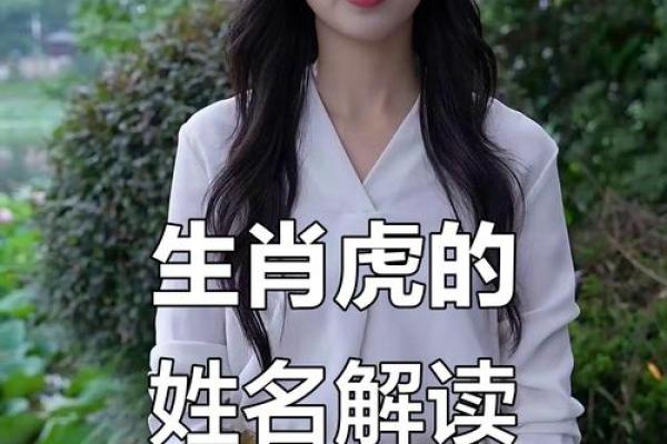 属虎方位吉凶查询大全视频