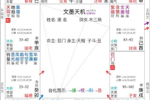 华盖星紫薇斗数