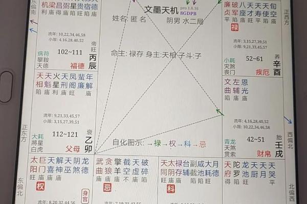 紫微斗数之迁移宫与诸星，太阳星在迁移宫是什么意思？