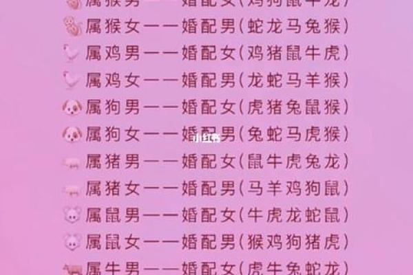 生肖配对查询男女