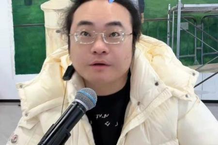 倪海杉紫薇斗数