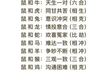 属马的女人和什么属相最配对 属马的女人和什么属相最配婚姻