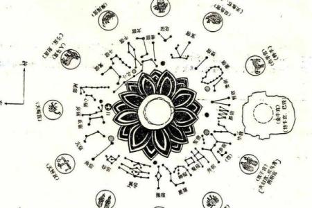 紫微斗数太阳星和紫微 太阳和紫微星谁大？
