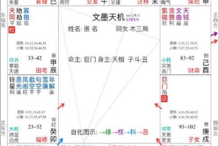 华盖星紫薇斗数