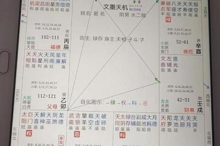 紫微斗数之迁移宫与诸星，太阳星在迁移宫是什么意思？