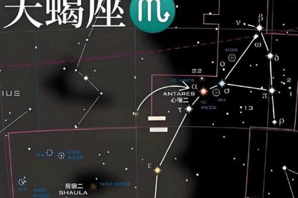 生命灵数和星座哪个准