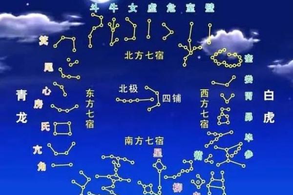 紫薇斗数  -_是什么意思